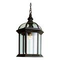 Trans Globe One Light Rust Clear Beveled Hexagon Glass Hanging Lantern 4183 RT